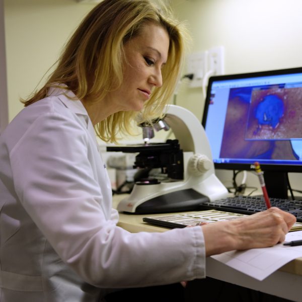 Dermatologist Picture Dermatologist writing a report